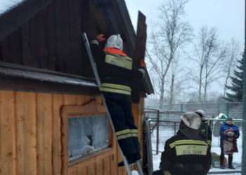В Большереченском зоопарке на пожаре погиб страус