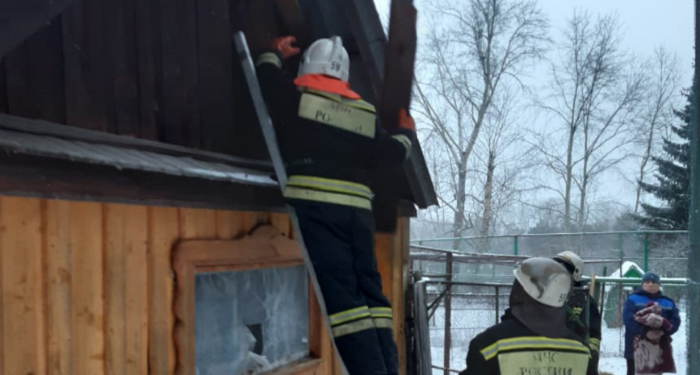 В Большереченском зоопарке на пожаре погиб страус