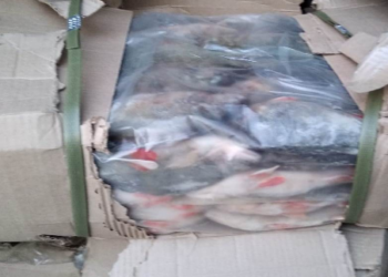 На омской границе задержали 1,5 тонны мороженой рыбы