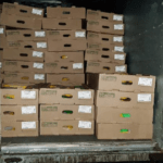 На омской границе задержали более тонны животноводческой продукции На омской границе задержали более тонны животноводческой продукции