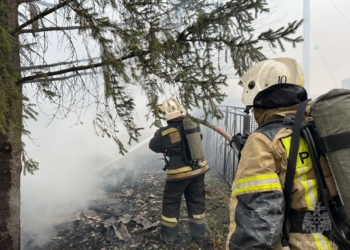 В Омске вспыхнул крупный пожар в садовом товариществе