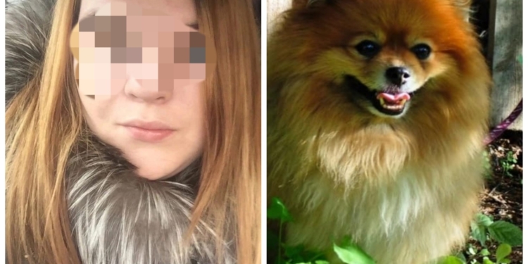 Забрали деньги и исчезли. В истории омских зоомошенниц появились новые потерпевшие